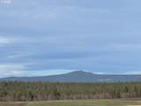  Quail Rd - Photo 39