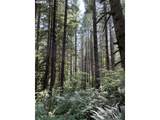  S Fork Molalla Rd - Photo 11
