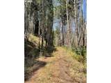  S Fork Molalla Rd - Photo 12