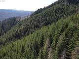  S Fork Molalla Rd - Photo 14