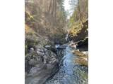  S Fork Molalla Rd - Photo 15
