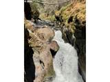  S Fork Molalla Rd - Photo 16
