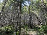  S Fork Molalla Rd - Photo 9