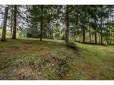 39480 Tumala Mountain Rd - Photo 12