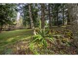 39480 Tumala Mountain Rd - Photo 16