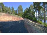 71350 Sunny Cove Rd - Photo 13