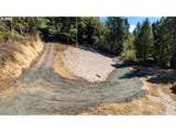 71350 Sunny Cove Rd - Photo 31