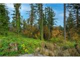 2629 Cupola Dr - Photo 5