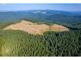 0 Bald Mountain Rd - Photo 11
