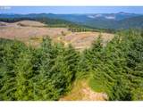 0 Bald Mountain Rd - Photo 12