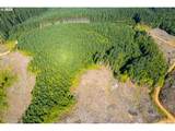 0 Bald Mountain Rd - Photo 13