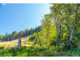 0 Bald Mountain Rd - Photo 15