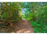 0 Bald Mountain Rd - Photo 18