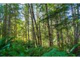 0 Bald Mountain Rd - Photo 19