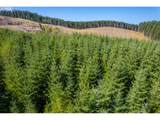 0 Bald Mountain Rd - Photo 2