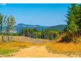 0 Bald Mountain Rd - Photo 21