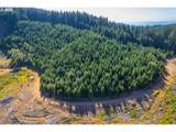 0 Bald Mountain Rd - Photo 25