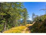 0 Bald Mountain Rd - Photo 29