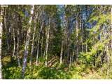 0 Bald Mountain Rd - Photo 30
