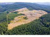 0 Bald Mountain Rd - Photo 4