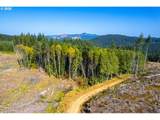 0 Bald Mountain Rd - Photo 5