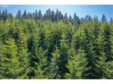 0 Bald Mountain Rd - Photo 6
