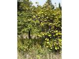 45088 Hwy 101 - Photo 13