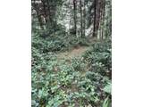 45088 Hwy 101 - Photo 19