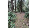 45088 Hwy 101 - Photo 20
