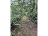 45088 Hwy 101 - Photo 22