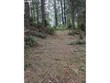 45088 Hwy 101 - Photo 23