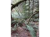 45088 Hwy 101 - Photo 24