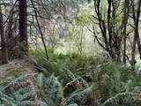 45088 Hwy 101 - Photo 25