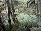 45088 Hwy 101 - Photo 26