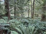 45088 Hwy 101 - Photo 28
