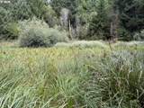 45088 Hwy 101 - Photo 32