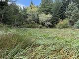 45088 Hwy 101 - Photo 34