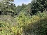 45088 Hwy 101 - Photo 37