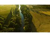 33100 West Valley Hwy - Photo 1