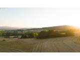 33100 West Valley Hwy - Photo 8