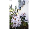 32903 Wildrose Dr - Photo 10