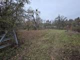 339 Justa Ln - Photo 21