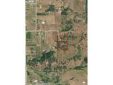 339 Justa Ln - Photo 8