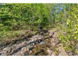  Hwy 141 - Photo 13