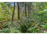  Hwy 141 - Photo 15