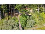 4372 Tenmile Lake - Photo 2
