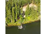 4372 Tenmile Lake - Photo 3
