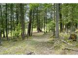 68868 Forest Service 3030 Rd - Photo 13