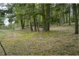 68868 Forest Service 3030 Rd - Photo 15