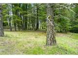 68868 Forest Service 3030 Rd - Photo 18